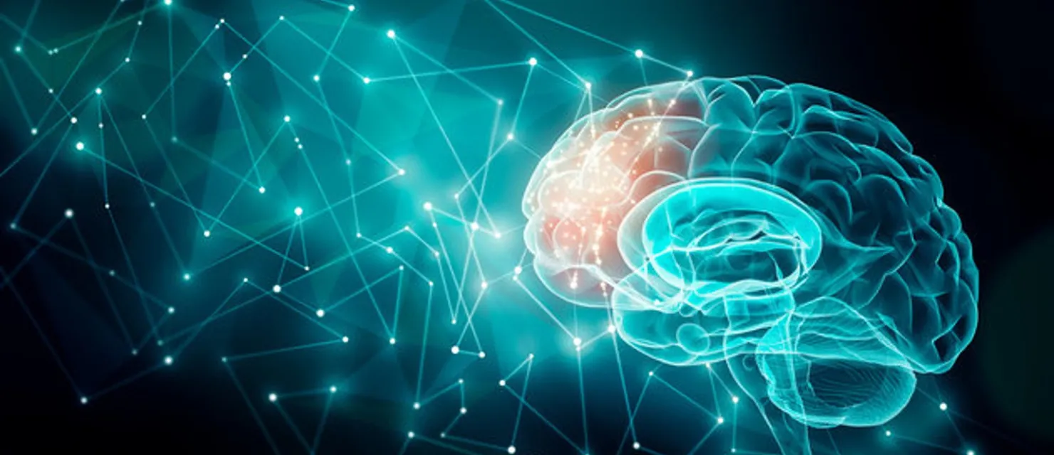 Arte do curso Neurociências Aplicadas à Saúde
